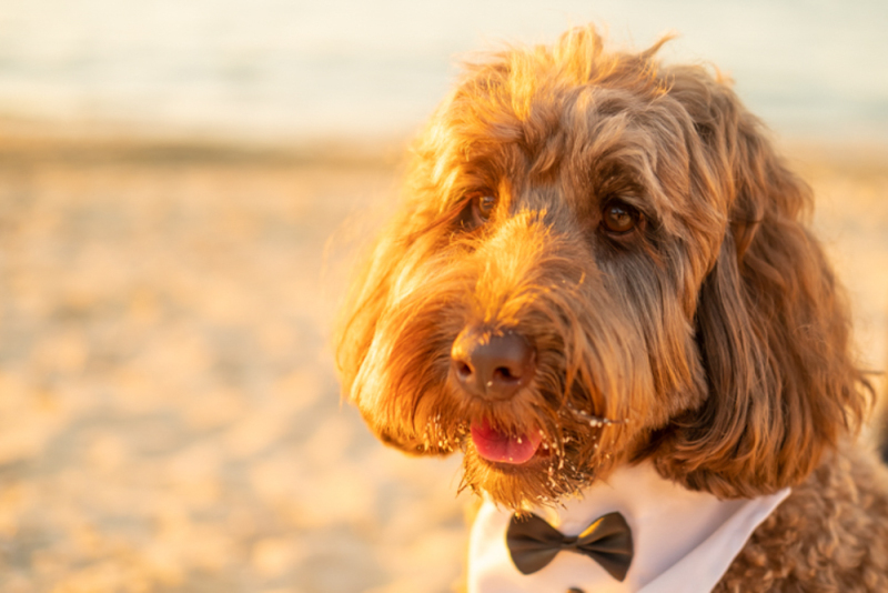 ouchiのフォトウェディングベストショット10