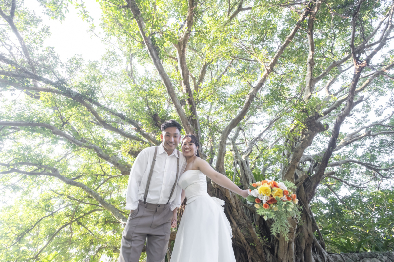 とても神秘的な雰囲気のカジュマル