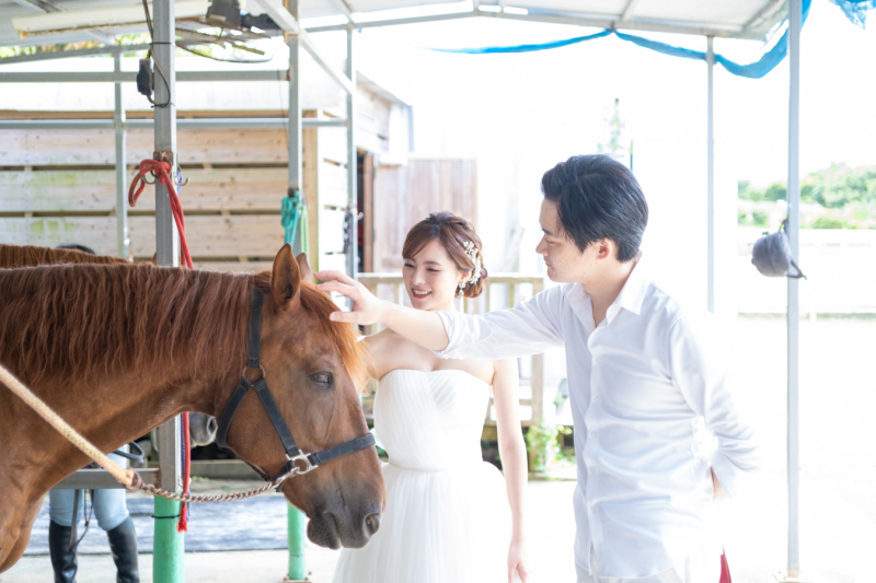 お馬さんへご挨拶♪