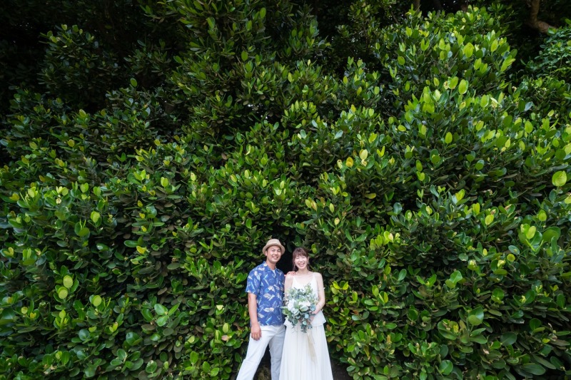 road trip photo(フクギ並木・北部)