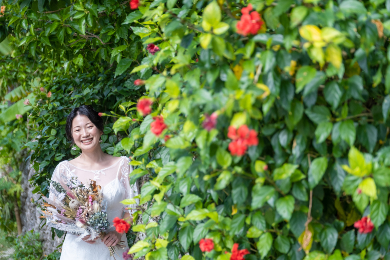 ハイビスカスと♪