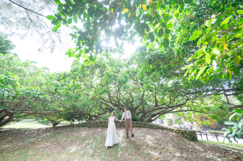 ガジュマルの木の下で