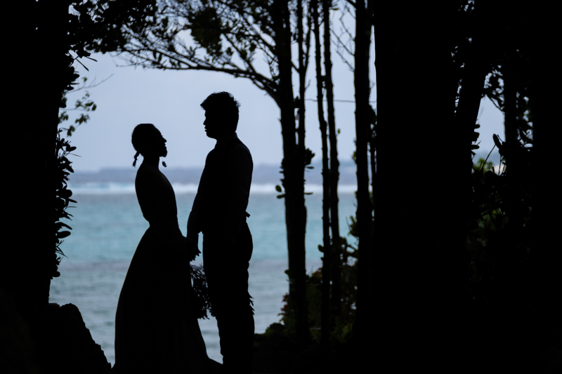 1ヵ所目はフクギ並木♪