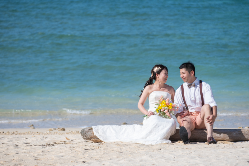 ビーチに流れついた流木にこしかけ