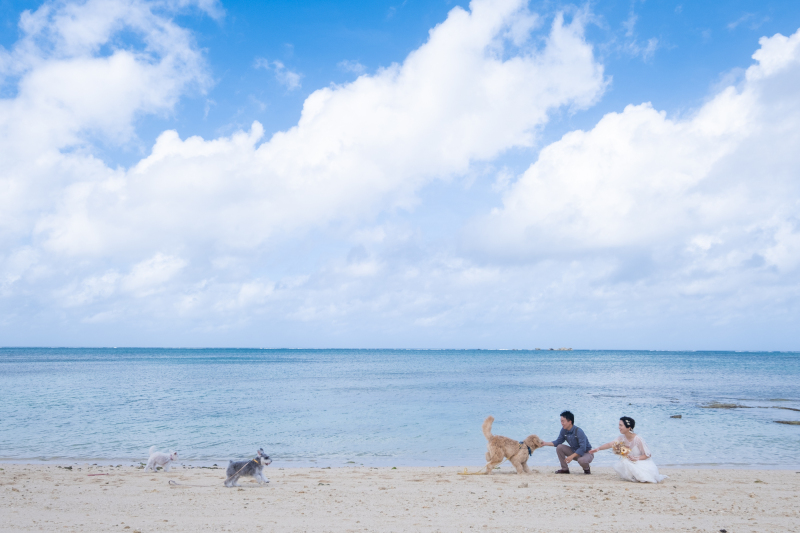 こっちおいで〜