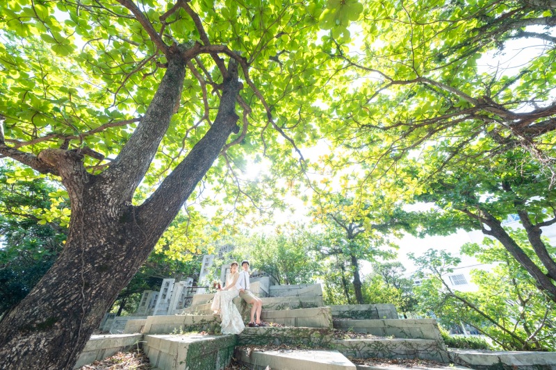 大きな木に囲まれて