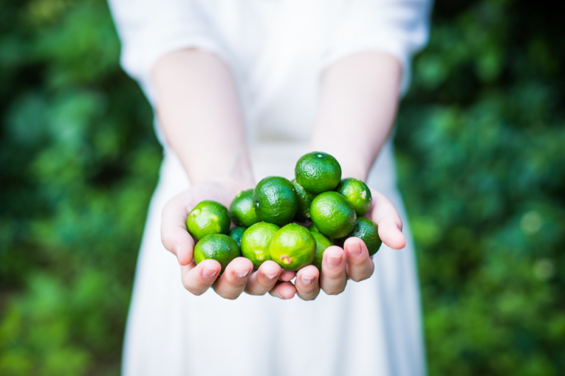 両手いっぱいのシークワサー