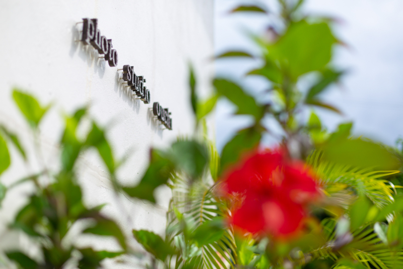 今日はどこに行く？旅ディングプラン♪