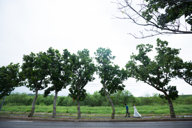 散歩している写真ですが、、、