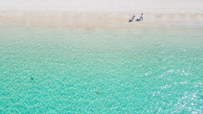 つやつやきらきら…