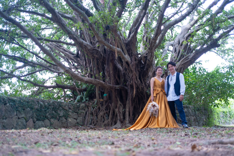 聳え立つガジュマルの木の下で