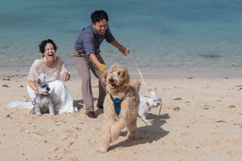 自由な沖縄フォトウェディング