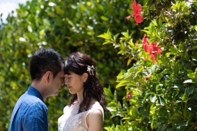 真っ赤なハイビスカスが二輪