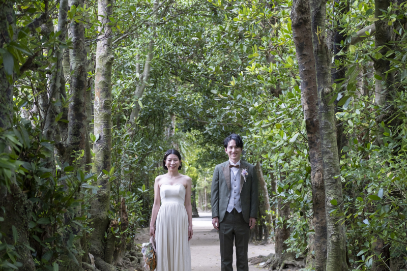 備瀬のフクギ並木へ