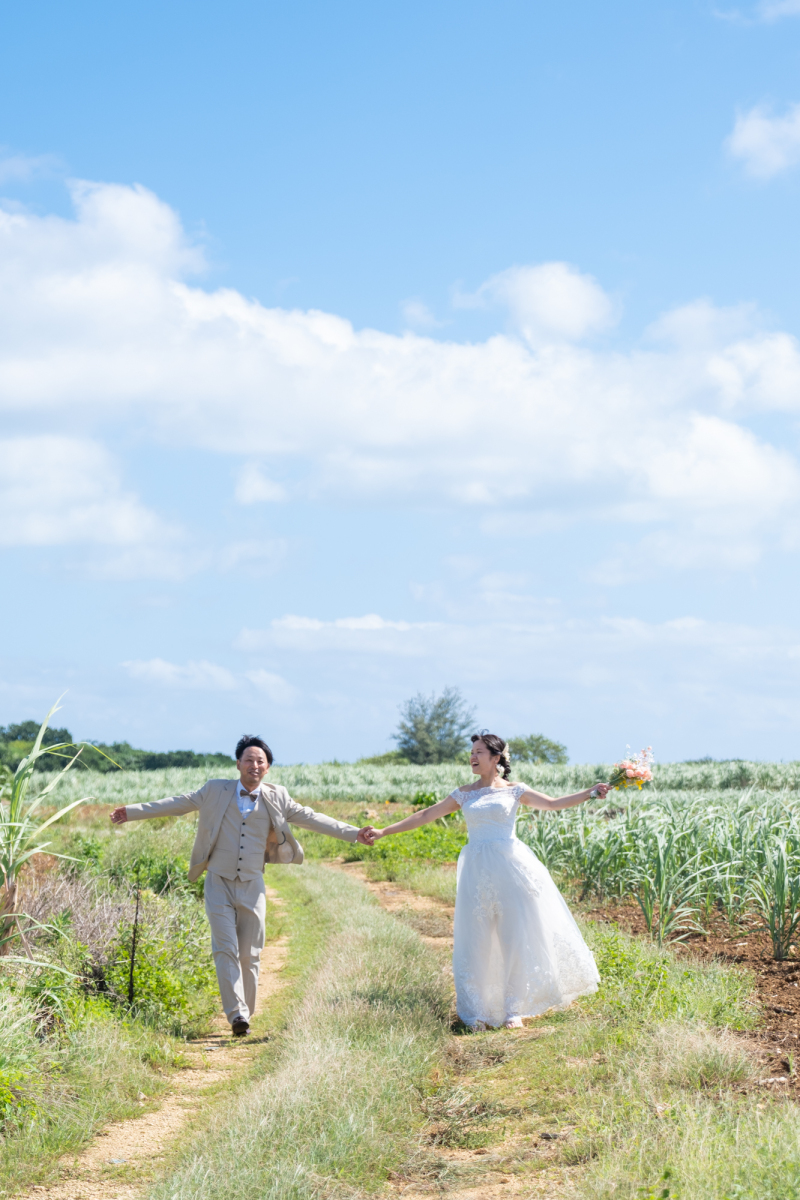 サトウキビ畑の1本道