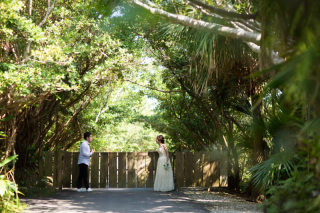 スタジオから車で5分の大自然、ビオスの丘