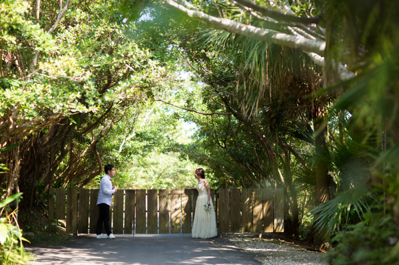 スタジオから車で5分の大自然、ビオスの丘
