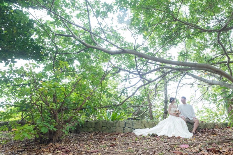 光が美しいグリーン