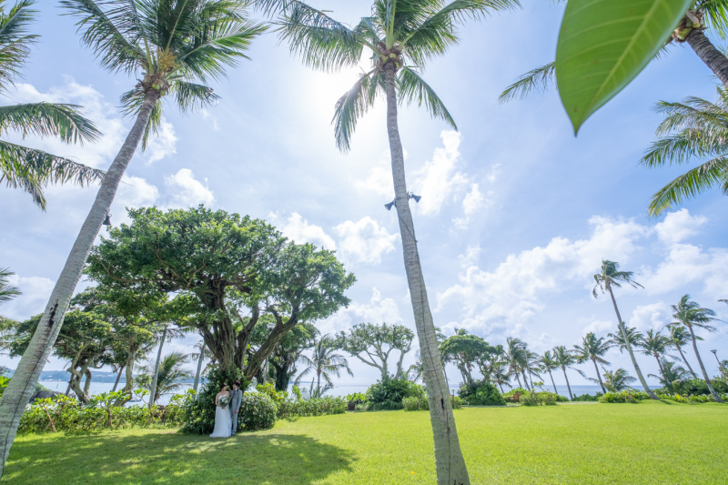 緑のロケーション撮影♪