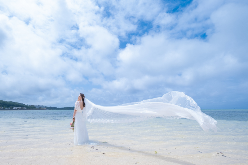 風になびくロングベール