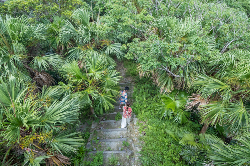 自然が豊かな渡嘉敷島