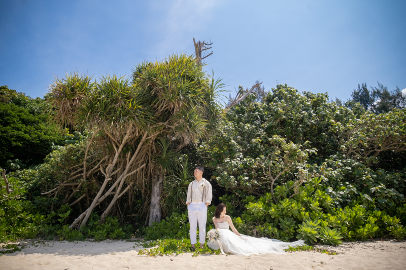 南国感あふれる木の下で一休み