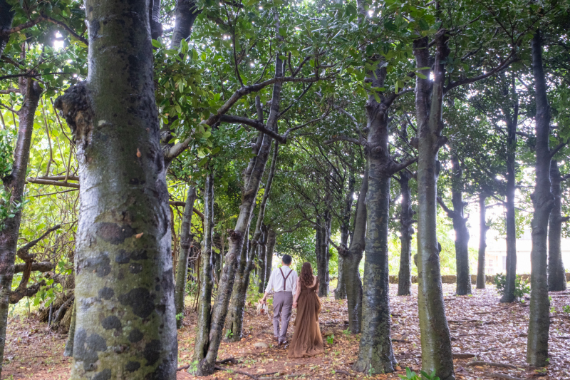 雨もやみました！