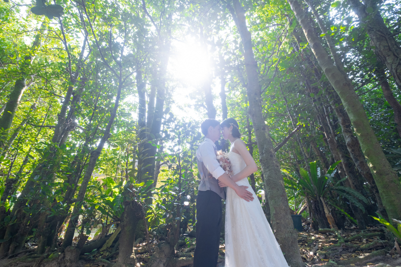 沖縄の緑をバックに（ふくぎ並木）♪