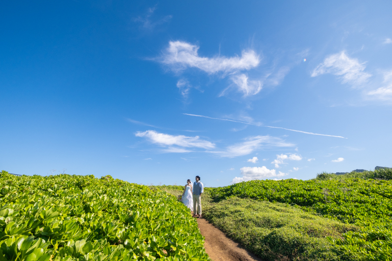 岬までの道のり