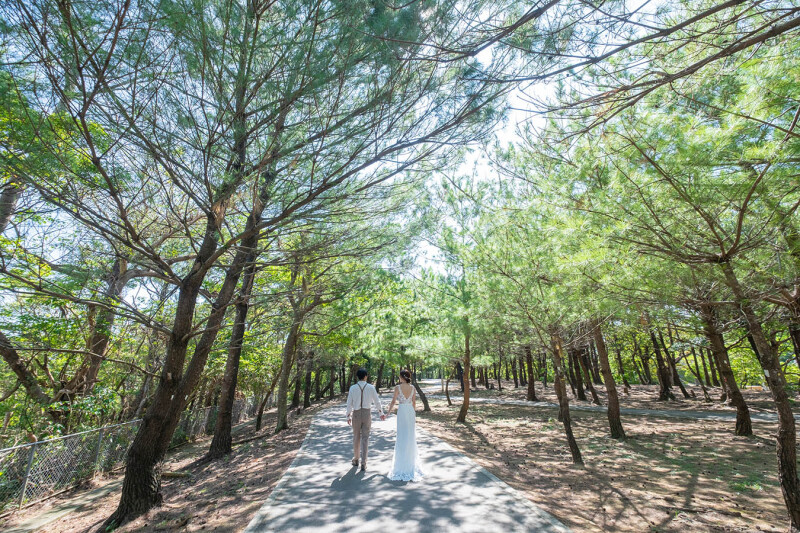 ガラリと雰囲気が変わる緑のフォトウェディング