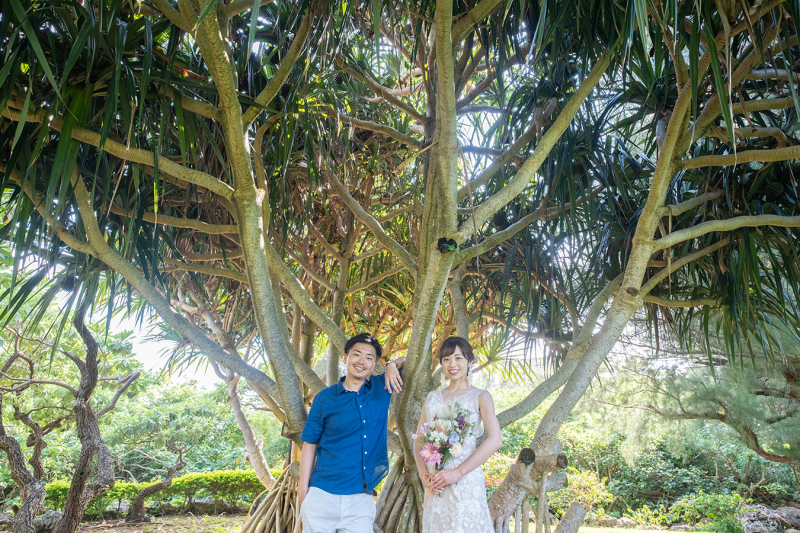 南国感溢れる木の下で沖縄フォトウェディング