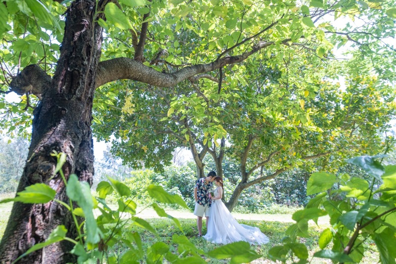 まるで絵の中みたい♪