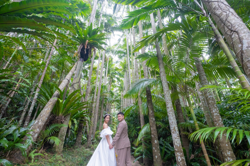 東南植物楽園といえばこの撮影スポット