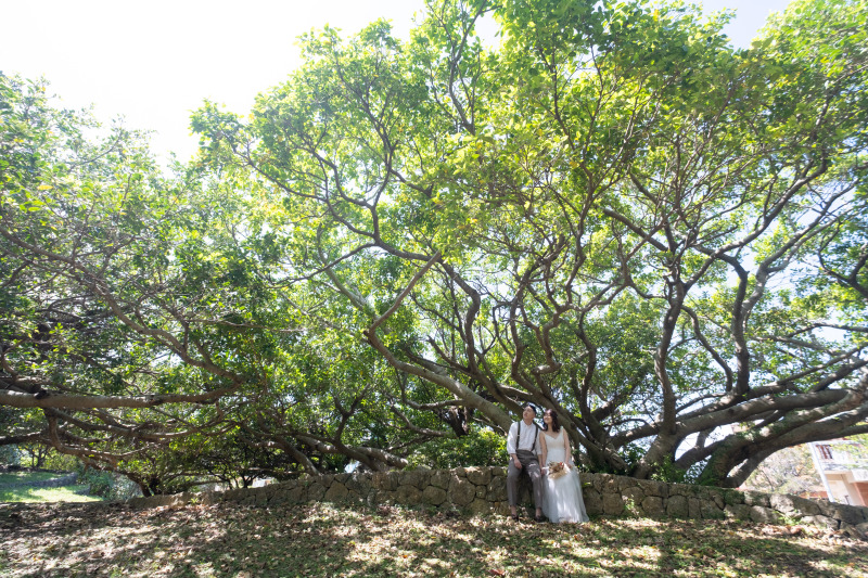 大きなガジュマルの木をバックに♪