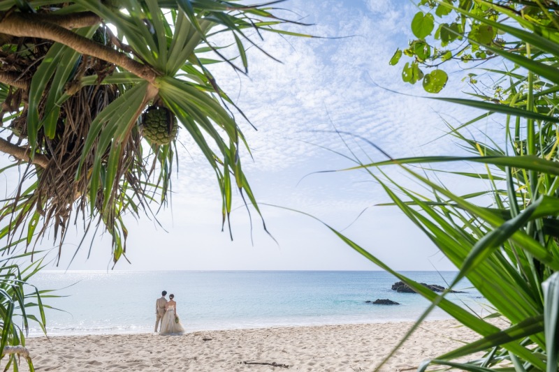 海を眺めるお二人…