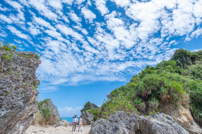 青空！緑！海！