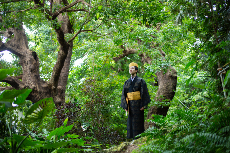 樹齢300年大アカギ♪