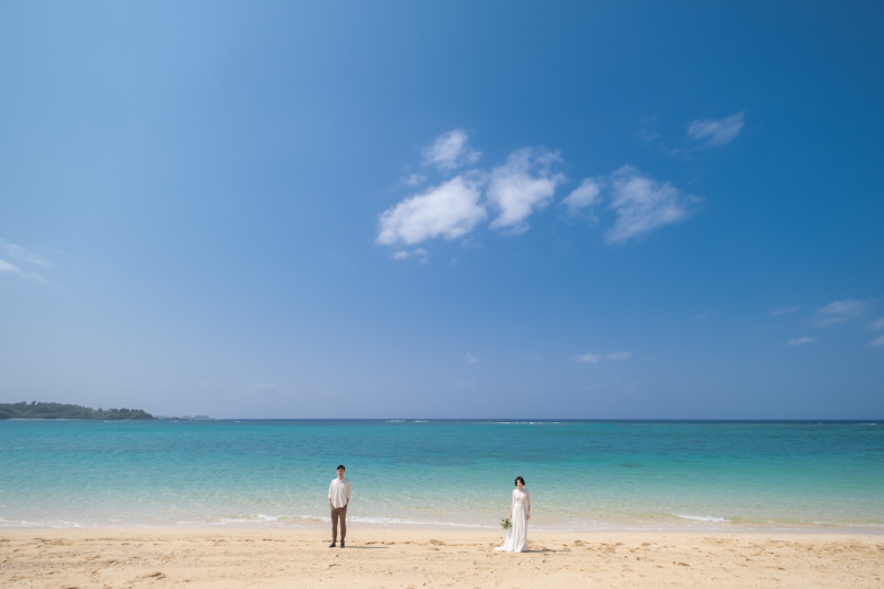 まるで絵のようなお写真