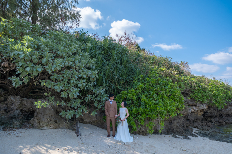 海の側、力強く自生する岩場の植物たち。