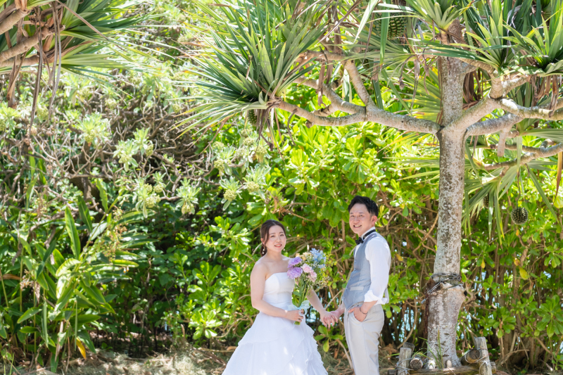 植物の影でひとやすみ。