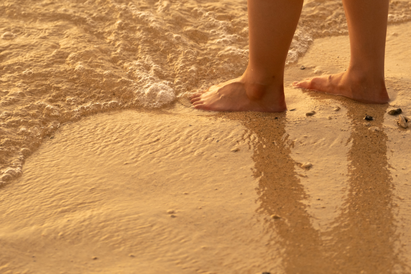 photo studio ouchi_動画を作れる