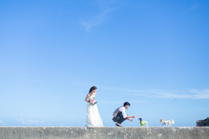 普段の様子が分かる一面も♪