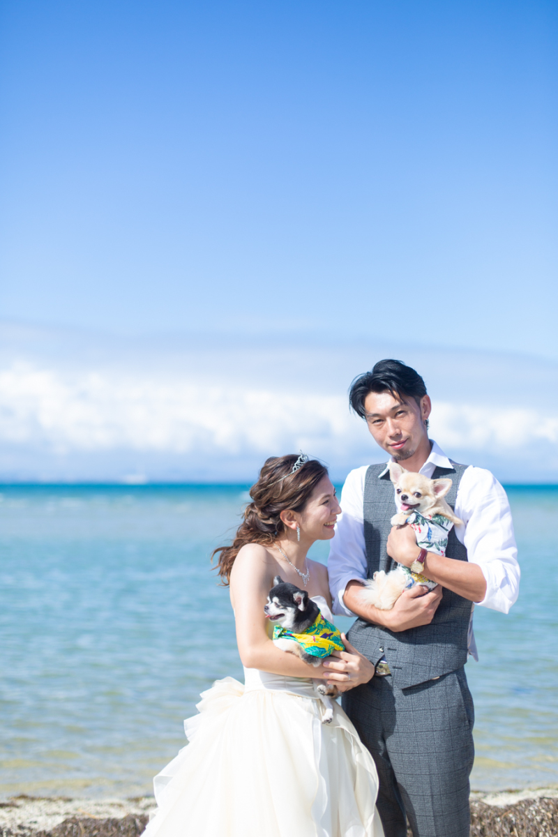 photo studio ouchi_ペットと一緒に撮影できる