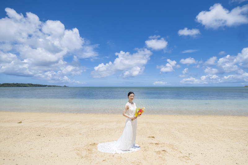 【大特価!】ドローン写真撮影or A2サイズウェルカムポスター orドレスランクアップ無料から選べる冬のプレゼントキャンペーン♪