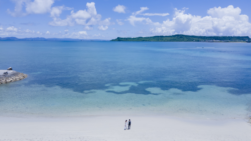 【大特価!】ドローン写真撮影or A2サイズウェルカムポスター orドレスランクアップ無料から選べる冬のプレゼントキャンペーン♪