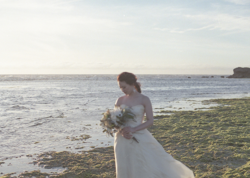 【フィルムカメラ貸し出しプラン♪】フォトウェディングプランM -思い出ムービー付き♪