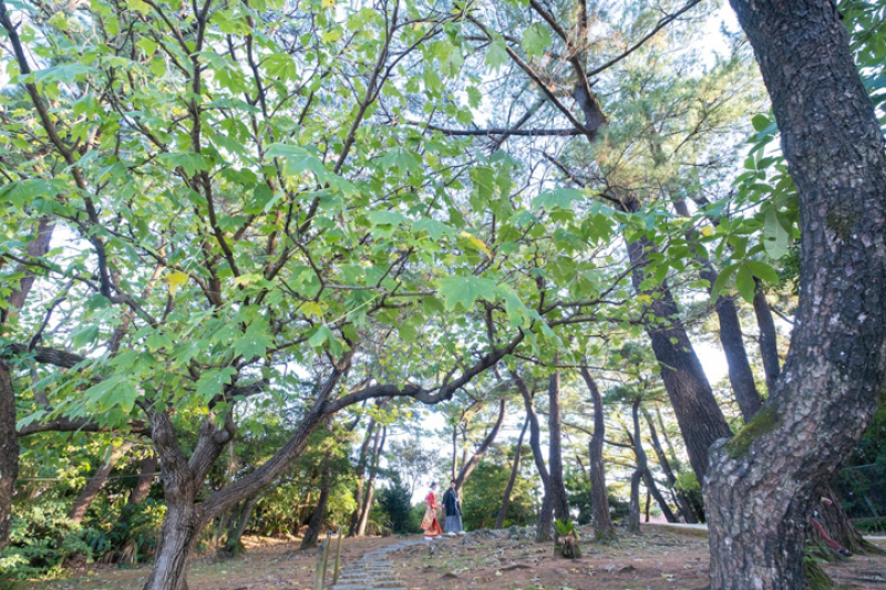 【2026年限定プラン】和装のみプラン♪(ロケ地1箇所)181,500円→159,500円※色打掛グレードアップ無料