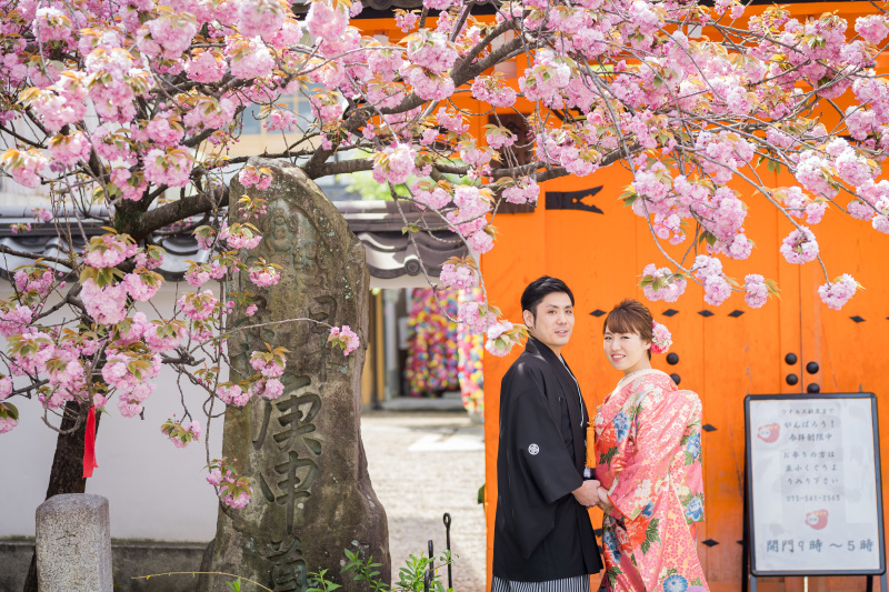 牡丹桜が咲き誇る♪八坂の塔・スタジオで和婚フォト