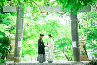 たゆたう竹林、新緑を愛でながら♡和婚フォト