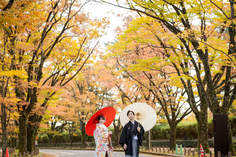 紅葉の時期だから